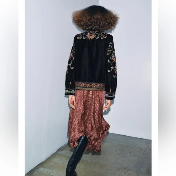 Zara Embroidered Velvet Jacket Limited Edition - Picture 4 of 7